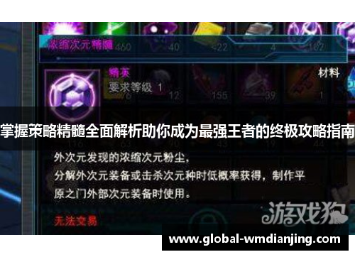掌握策略精髓全面解析助你成为最强王者的终极攻略指南