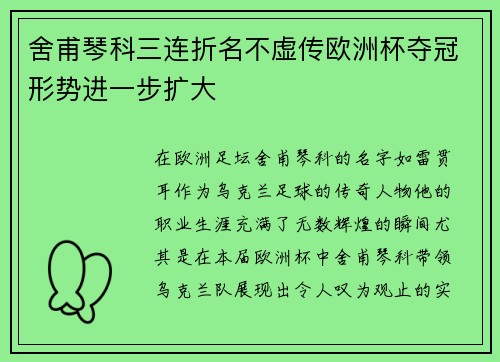 舍甫琴科三连折名不虚传欧洲杯夺冠形势进一步扩大