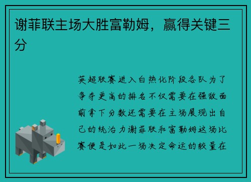 谢菲联主场大胜富勒姆，赢得关键三分