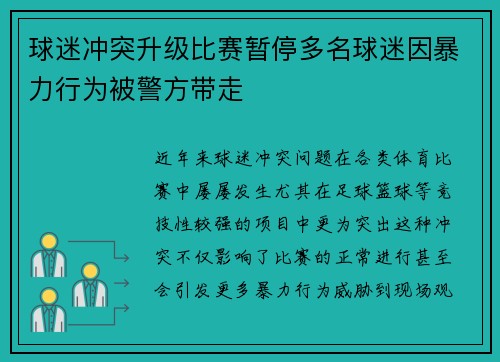 球迷冲突升级比赛暂停多名球迷因暴力行为被警方带走