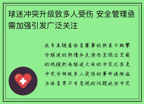 球迷冲突升级致多人受伤 安全管理亟需加强引发广泛关注