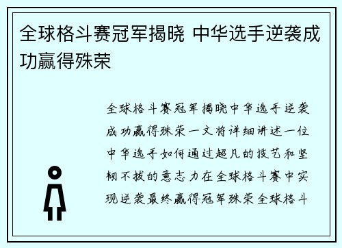 全球格斗赛冠军揭晓 中华选手逆袭成功赢得殊荣